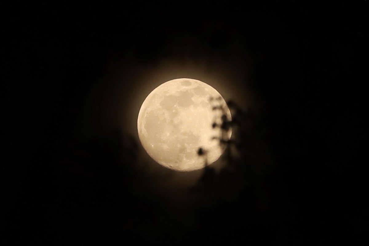 Tonight’s full moon 98% waxing <a href="/suepalkafox5dc/">Sue Palka DC</a> <a href="/capitalweather/">Capital Weather Gang</a> <a href="/caitlinrothfox5/">Caitlin Roth</a> <a href="/jb_weather/">Forecaster John</a> <a href="/gwenfox5dc/">Gwen Tolbart, Fox5DC</a> <a href="/Conthescene/">C on the scene</a>