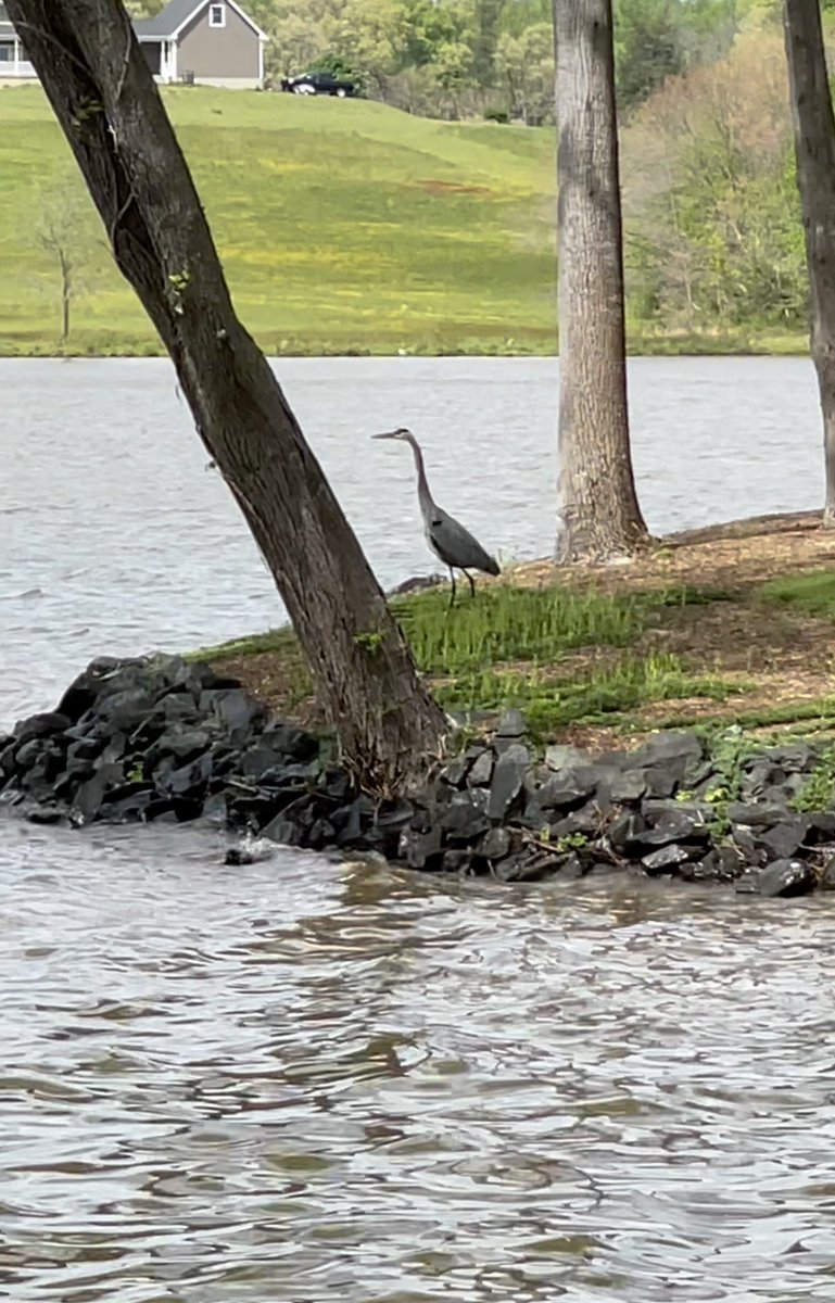 Jake Tapper 🦅 tweet media