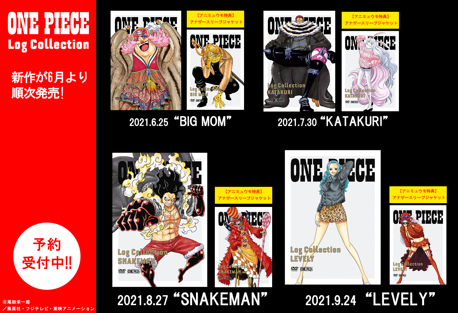 ONE PIECE スタッフ【公式】/ Official on X: 