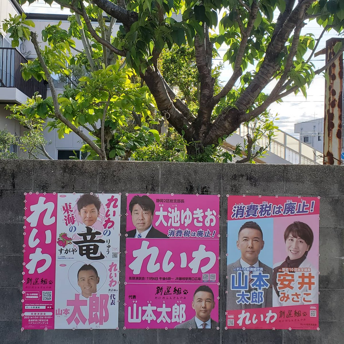 masarinreiwa's tweet image. ｢新れいわ東海ブロックの壁｣完成‼️
コンプリートしました🎉✨😆✨🎊
皆さん、お忙しい中、ポスター届けて下さり、ありがとうございました。
嬉しくて、出勤前にポス活😊
#れいわ新選組 #安井みさこ #大池ゆきお #すがや竜 #山本太郎