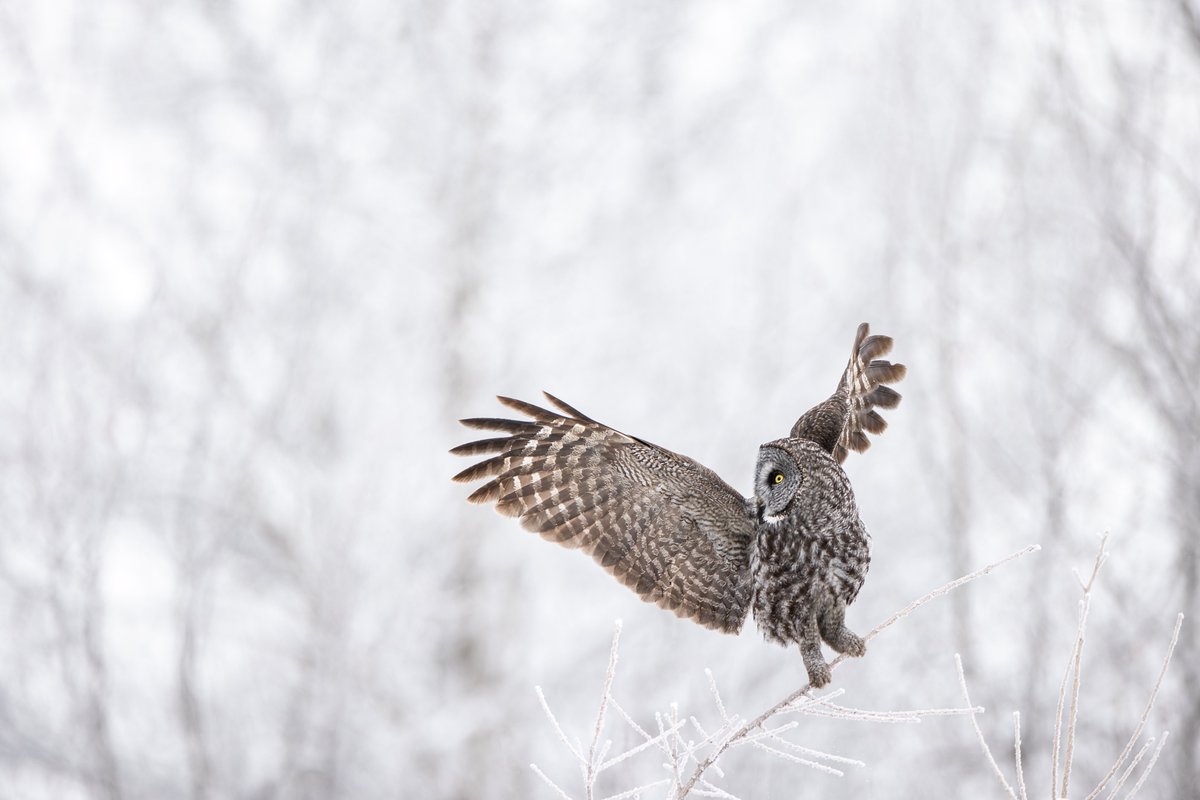 brentcizekphoto tweet picture
