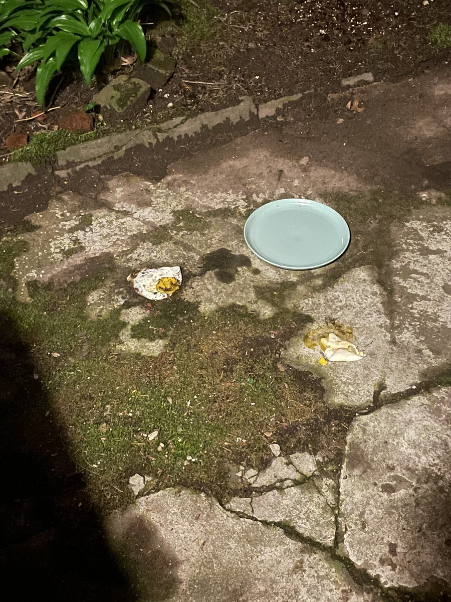 IMPORTANT UPDATE!!! SOMEONE HAS FINALLY INTERACTED WITH THE EGG!! they knocked the egg off the plate. they are sending me a message. no more eggs.