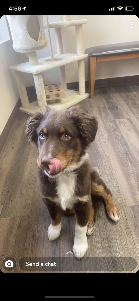 destinylockmany's tweet image. Thinking of Busch light @BuschBeer #BuschCTOcontest