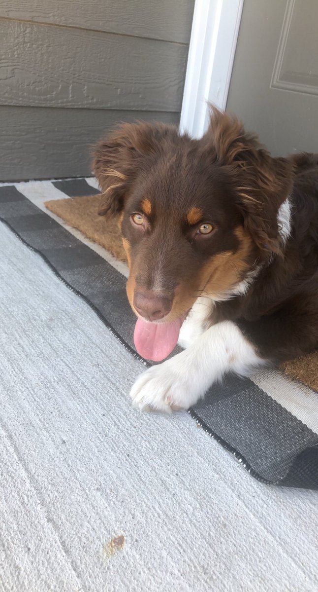 destinylockmany's tweet image. Thinking of Busch light @BuschBeer #BuschCTOcontest