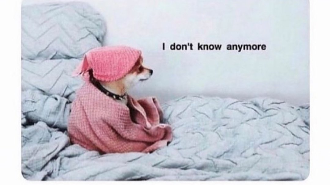 teachergoals's tweet photo. Others: Are you ready for next week?

Me: https://t.co/gXllgnAX40