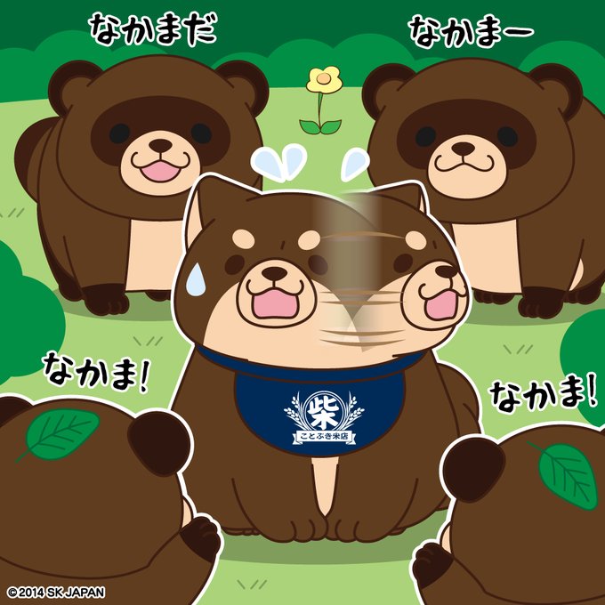 悠さん がハッシュタグ 忠犬もちしば をつけたツイート一覧 1 Whotwi グラフィカルtwitter分析