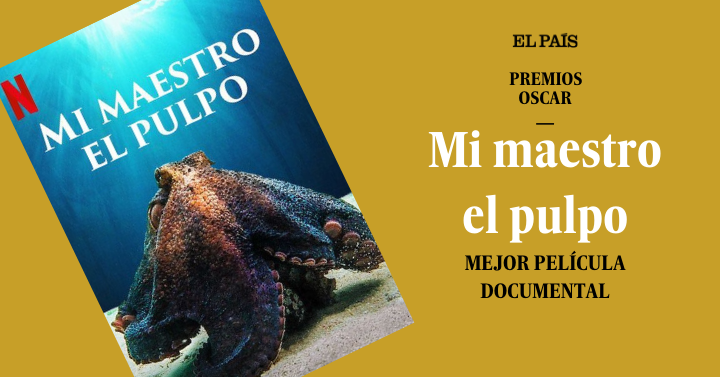 elpais_america's tweet photo. 🔴 EN VIVO | El mejor largometraje documental es... ‘Mi maestro el pulpo’
#Oscars |  https://t.co/IDv3qLgm5p https://t.co/9eTdp1MHvW