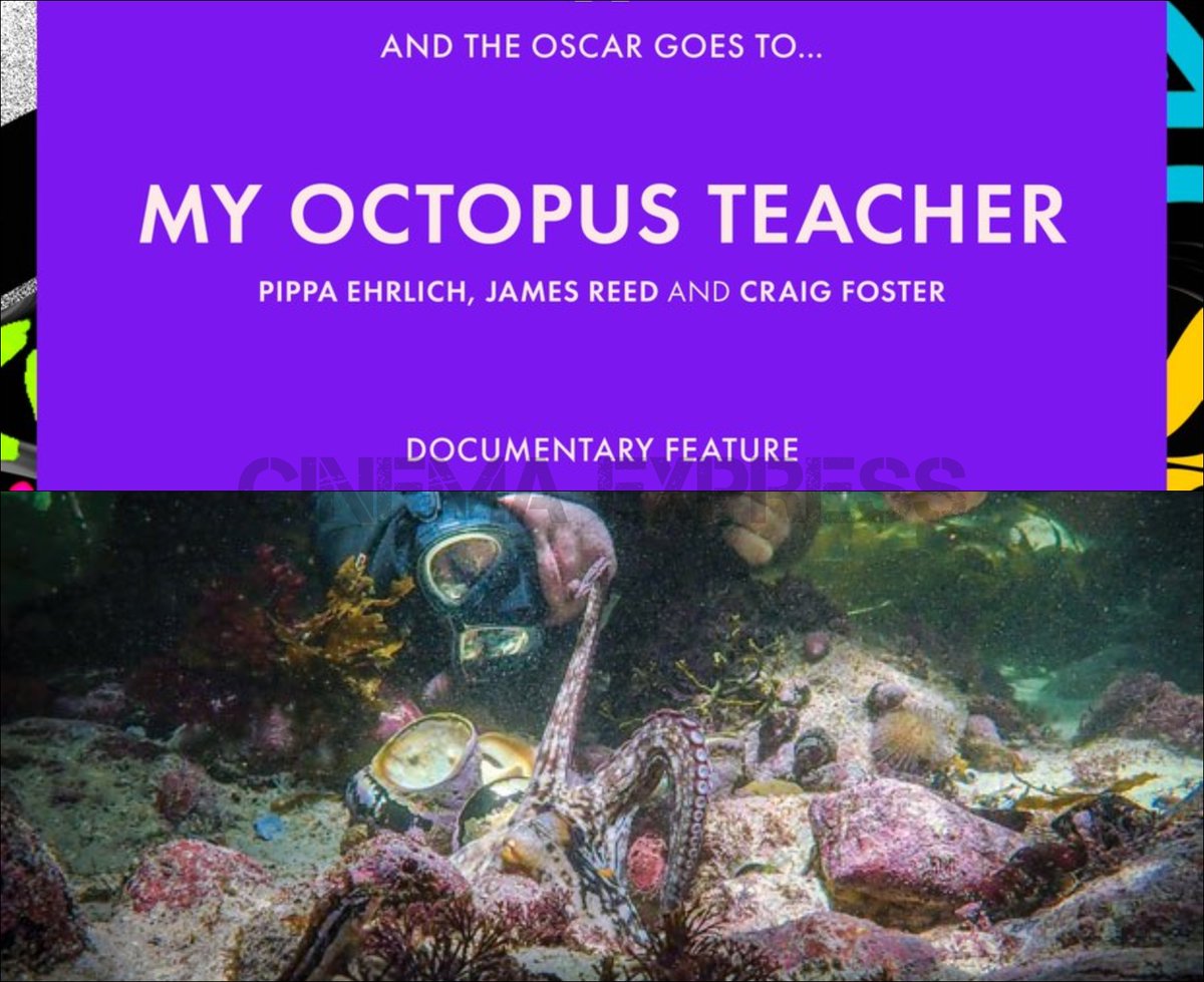 Aaaaaand the  #Oscar goes to...  #MyOctopusTeacherThe  @netflix documentary is a moving tale of a mollusc and a man that is unlike most nature documentaries.  #AcademyAwards2021  #Oscars2021  #Oscars  