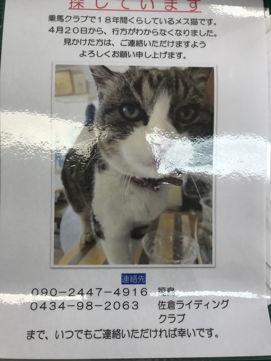 鍋焼きうどん Ikuezmtmy Twitter