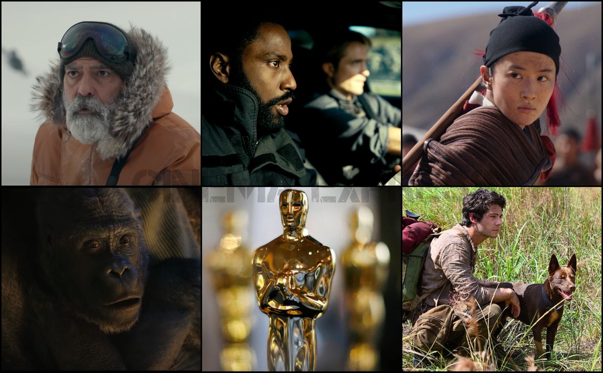 It is time to honour the talents in the Visual Effects category.  #Tenet is the frontrunner in a category that boasts of films like  #LoveandMonsters,  #TheMidnightSky,  #Mulan and  #TheOneandOnlyIvan.  #AcademyAwards2021  #Oscars2021  #Oscars  