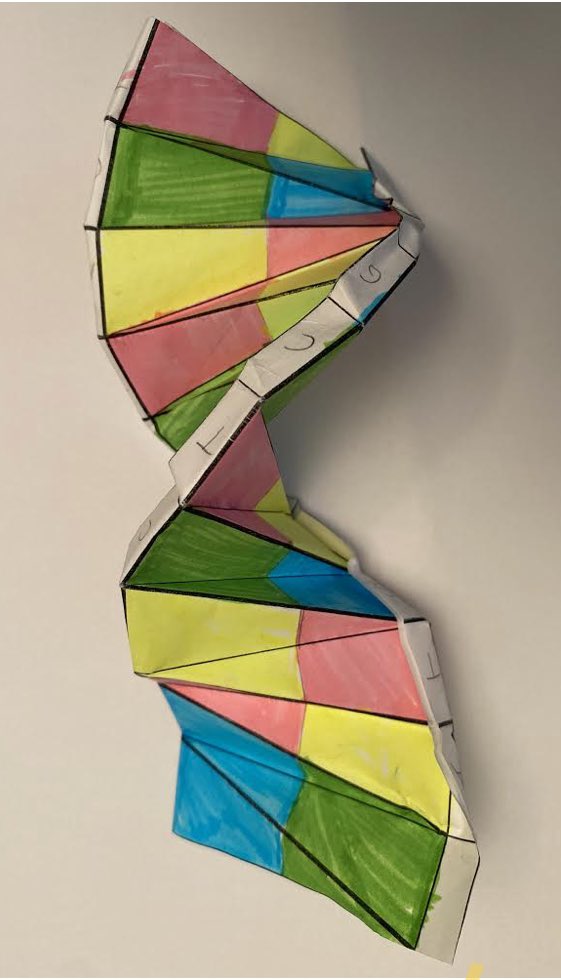 Mrs_DulinSmith's tweet photo. Happy National DNA Day!!! Bio In-person and RLA Ss @dublinjeromehs extracted strawberry DNA and made DNA origami to celebrated the completion of the Human Genome Project in 2003 and the discovery of DNAs double helix in 1953. https://t.co/Hr6mz8vuwJ