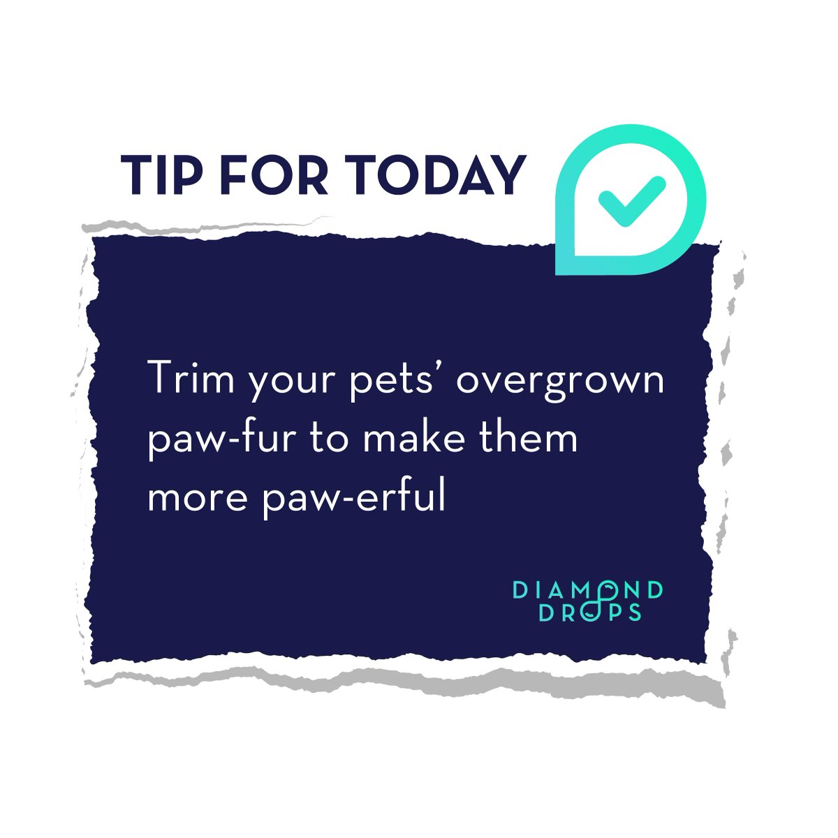 Pets have a lot of fur that grows on the top of their paws, between their toes, and even underneath on paw's pads.

Slush and dirt can really get packed in there tight and harden them making them spread germs.

#diamonddrops #dogslove #petpaws #puppylife #petcare #cleanpets