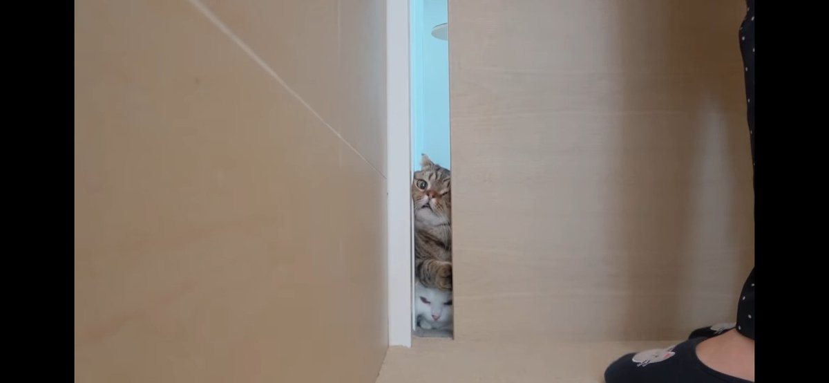 OAO