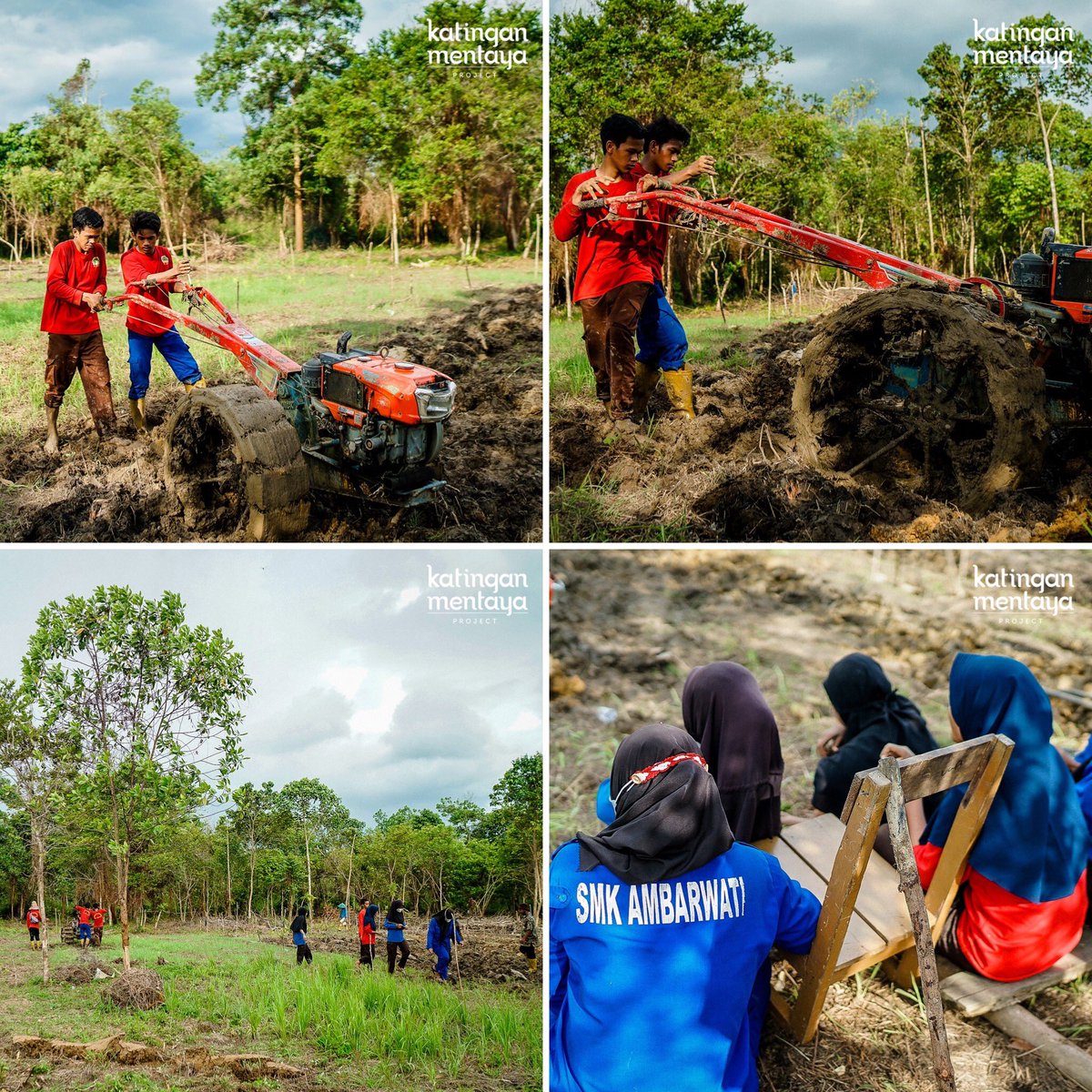 30 students of Ambarwati school, Ganepo village, volunteer at the school farm each week, engaging in hands-on learning about sustainable farming. #katinganmentayaproject is committed to helping farmers access the programs they need to protect their farms and livelihoods.