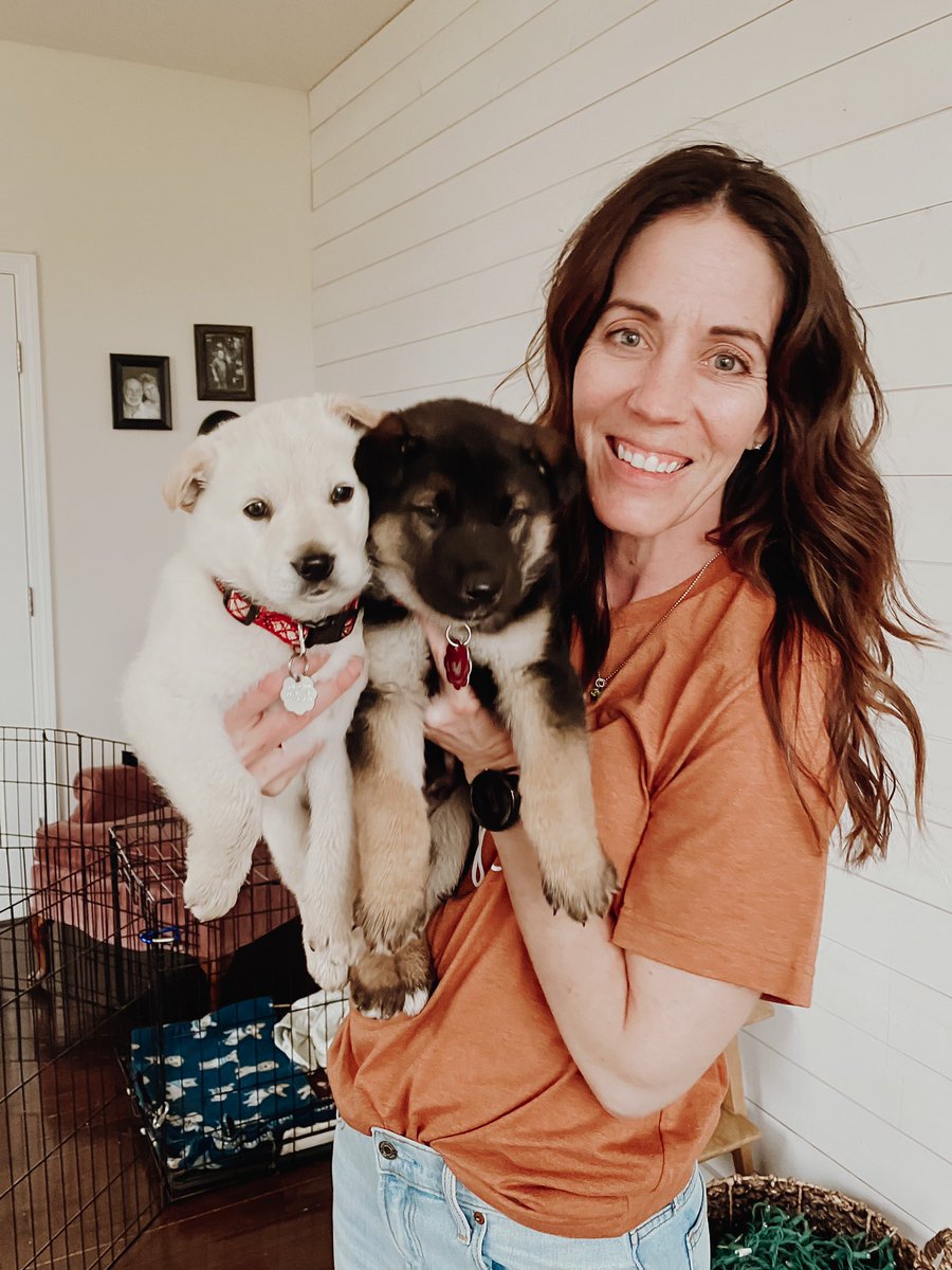 Doug Peters tweet media