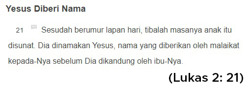 Jesus lahir di daerah Palestin ketika itu negara diperintah oleh kerajaan Rom. Beliau seorang Yahudi kerana ibunya seorang Yahudi.Sesuai dengan adat bangsa Yahudi, beliau dikhatankan selepas berusia 8 hari mengikut Kitab Perjanjian Lama.