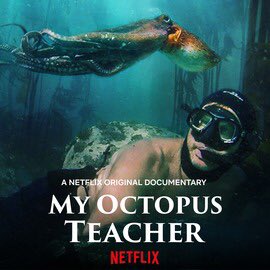 Just watched my nephew James Reed make an Oscar acceptance speech!! Co-Director of My Octopus Teacher (documentary feature).