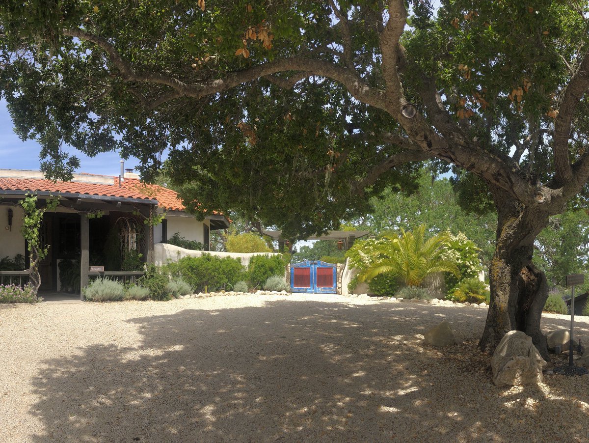 DestinationDRVR's tweet image. Recent clients were raving about the wine/food at Lecuvier Winery. Chef even hooked up our driver, now we’re raving too. Wine tours are in full swing! #winecountry #pasorobles