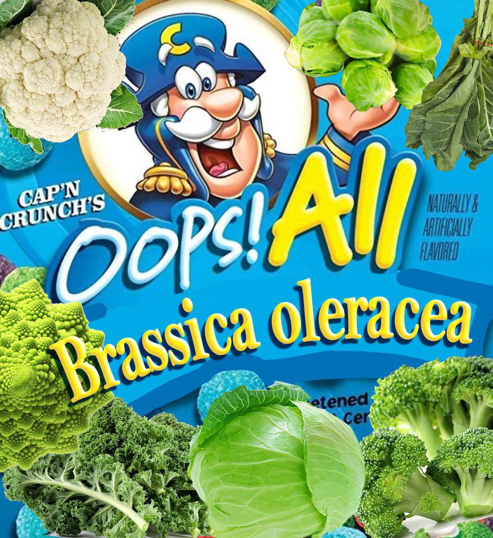 And the BEST one: oops! All brassica!