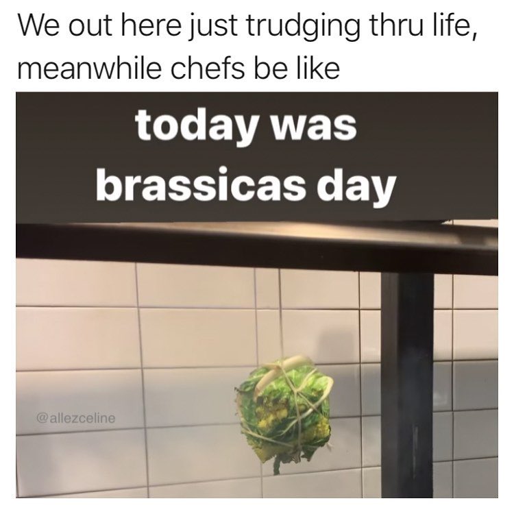 today was brassicas day