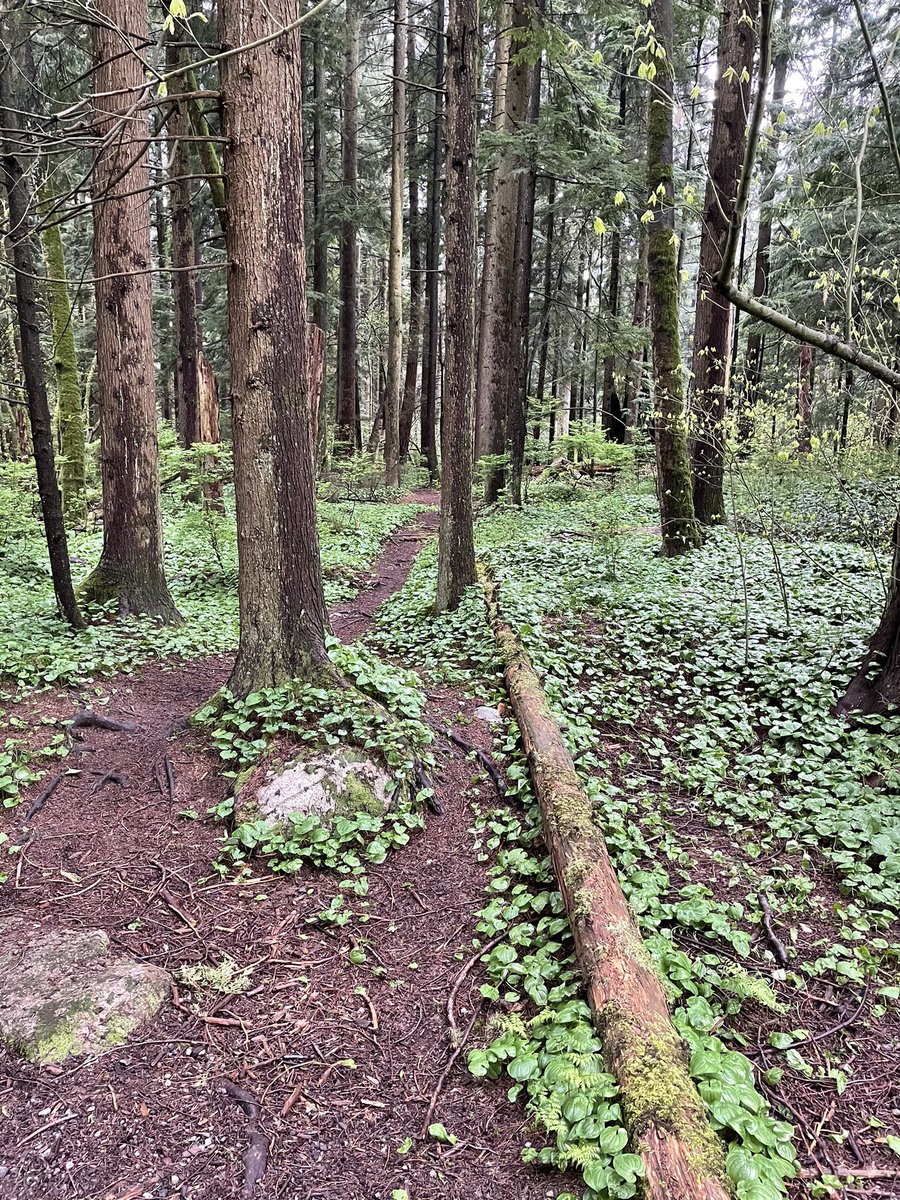 Colleen Castonguay tweet media