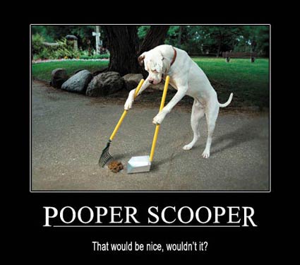 It's National Scoop the Poop week!  Cleaning up your dogs poop is not just being nice to your neighbors, it's saving the environment and preventing spread of disease!  This article provides facts and busts myths about your favorite responsibility.

puppyup.org/its-national-s…