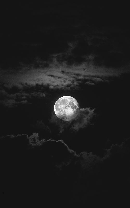 Exulansista's tweet image. Amor eterno a la luna.