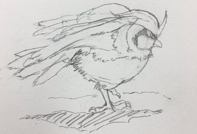 no 017さん と Pijyon のやりとり 1 Whotwi グラフィカルtwitter分析 no 017さん と Pijyon のやりとり 1 Whotwi グラフィカルtwitter分析