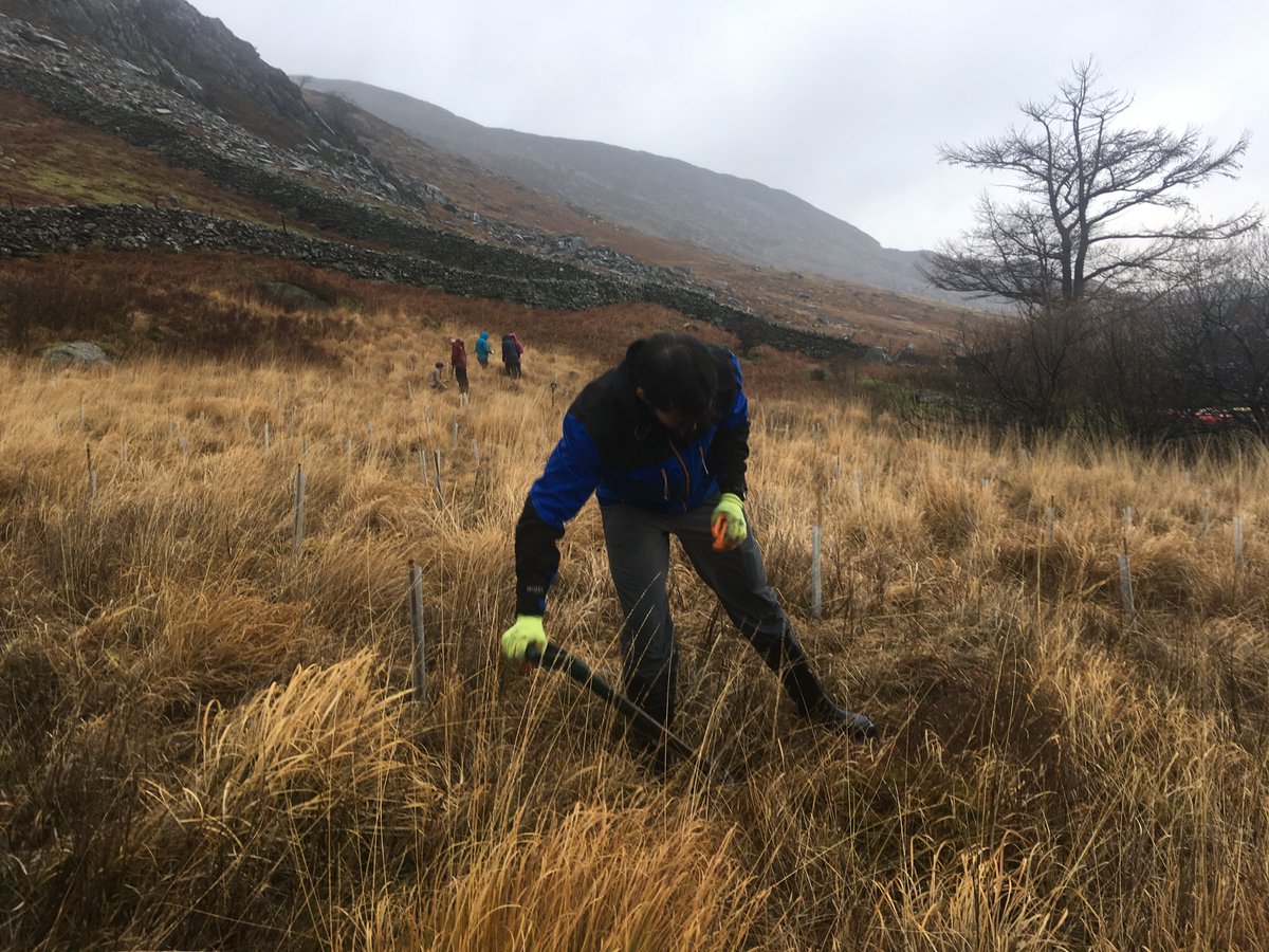 Chris Andrews  @ChrisAndrews24 (MFor Forestry 2020) is now studying on a  @NERCscience funded  #PhD at  @EdinburghUni involving  #forests,  #livelihoods and  #remotesensing and is looking forward to returning to give a guest lecture to @bfsaforestry in the near future (4/-)