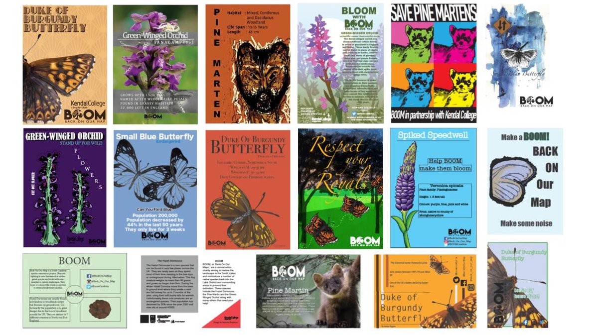 Great Place: Lakes & Dales tweet media