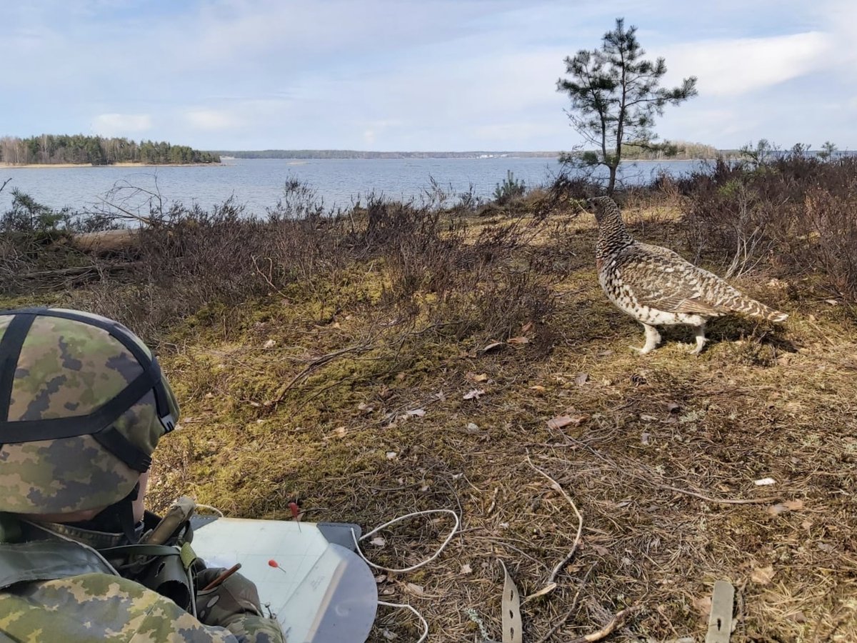 rannikkopr's tweet photo. #Rannikkoprikaati'n varusmiehiä ja henkilökuntaa oli mukana Uudenmaan prikaatin järjestämässä taistelu- ja ampumaharjoitus ETELÄ'ssä harjoittelemassa maatulenjohtoa. #RPR'n joukon toimintaa seurasi myös upea #koppelo. Kiitos hyvästä harjoituksesta @Nylandsbrigad.
#merivoimat https://t.co/E7LPhMlhvZ