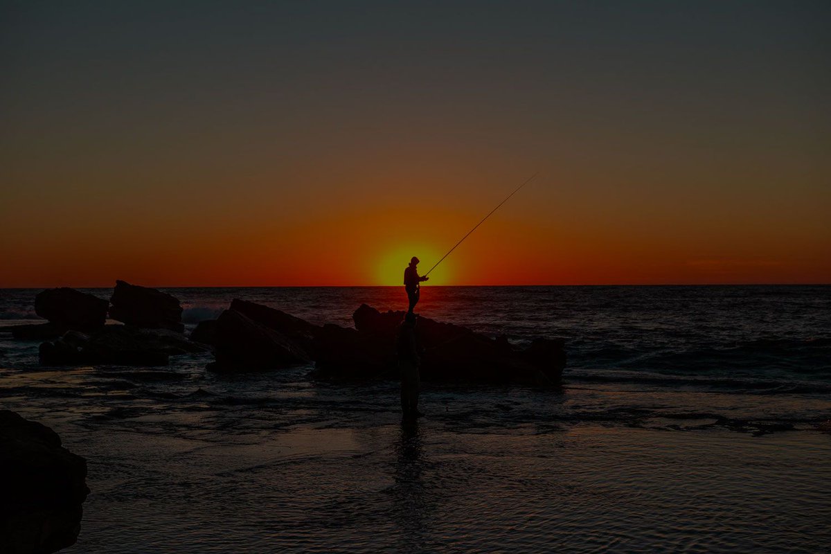 Don't get 'caught' out by social scamming - A Green Duck must read #Seaspiracy #socialscamming #webinar 

bit.ly/3nlYEjj