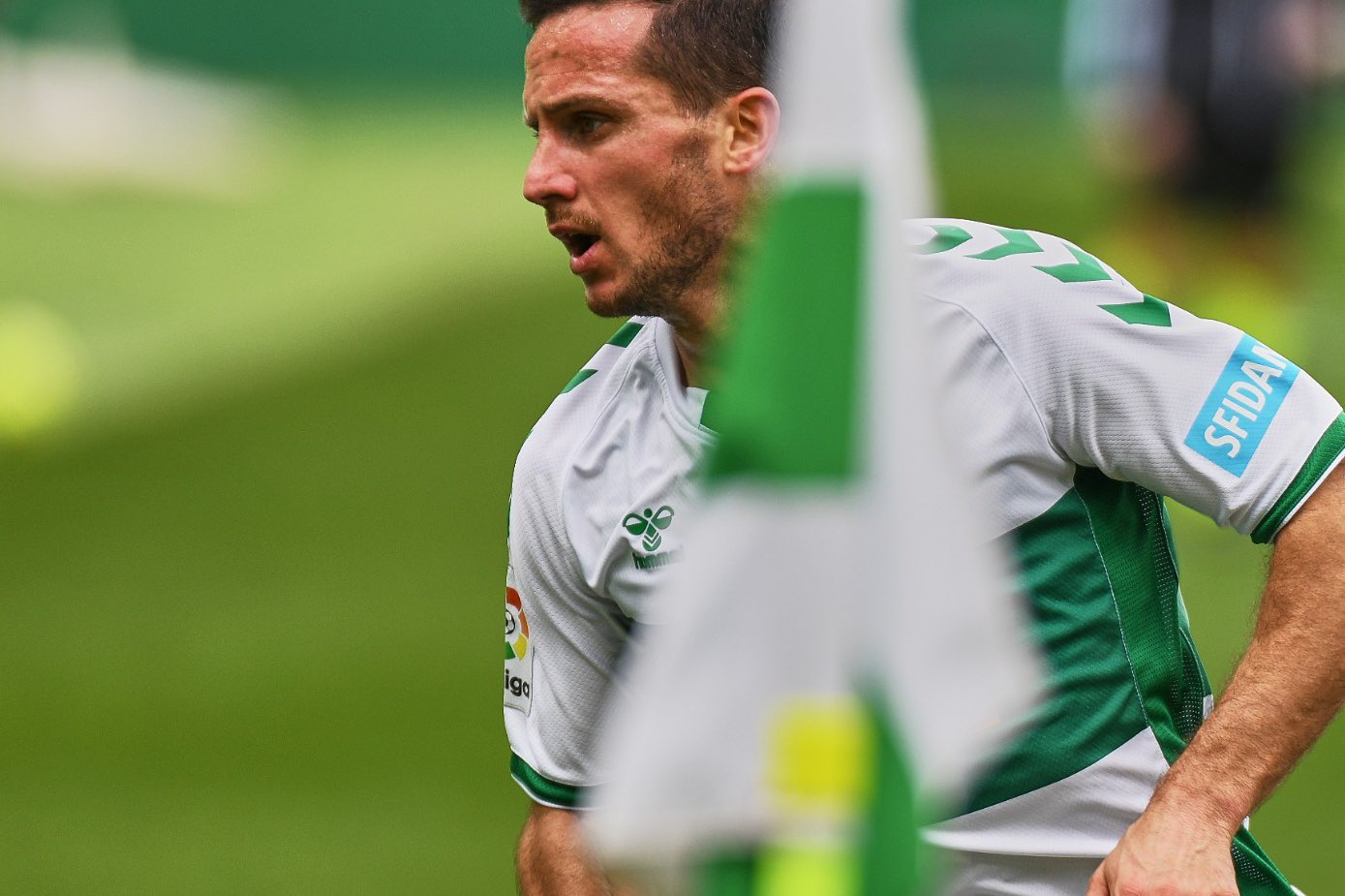 エルチェcf Jpn パブロ ピアッティが Elchecf での Laligajp初スタメンを飾りました オフサイドになっちゃったけどゴラッソ Var発動でしたが決定機も創出 残りの試合もよろしく エルチェcf Jpn パブロ ピアッティが Elchecf での Laligajp初スタメンを飾りました オフサイドになっちゃったけどゴラッソ Var発動でしたが決定機も創出 残りの試合もよろしく