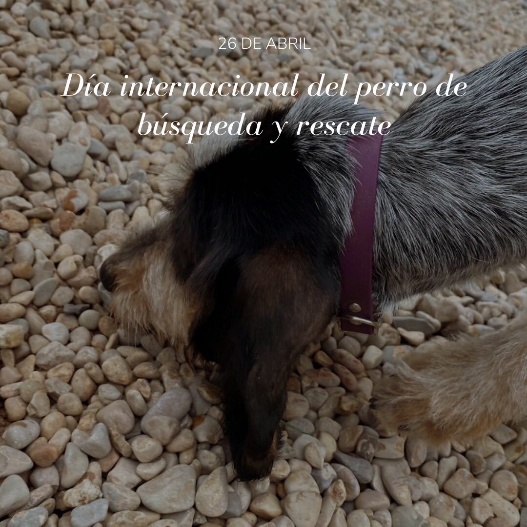 IAE tweet media