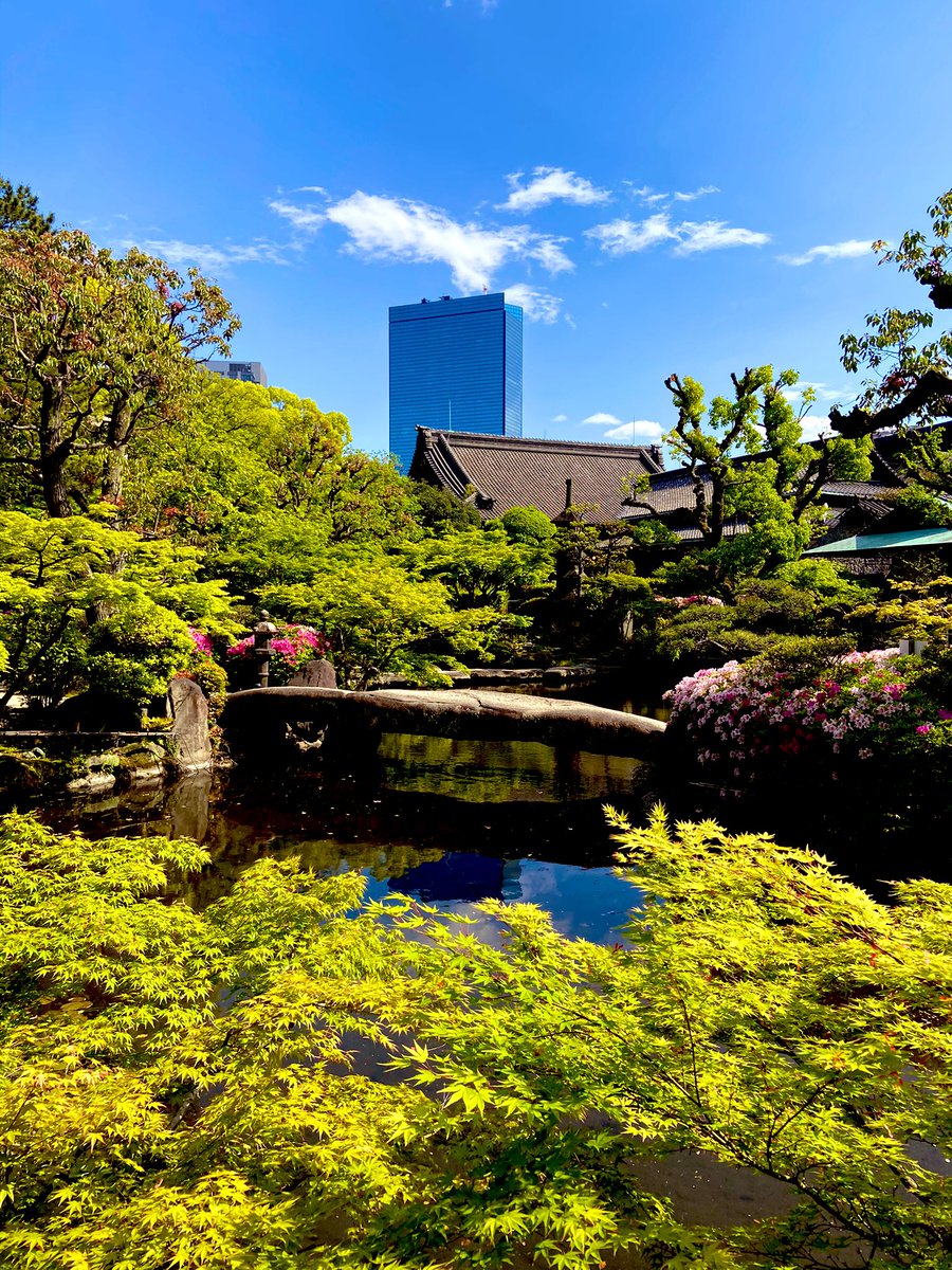 rob_kendrew's tweet photo. Today with work I was at Taiko-en #Osaka #Japan. For over 60 years many have enjoyed its restaurants &amp; wonderful garden. In June it will close, having been sold to Buddhist cult,Soka Gakkai. 

大阪の太閤園の庭園。最近カルト宗教の創価学会に買われた。

＃仏教 ＃創価学会 #garden https://t.co/7HaCV5bkXd