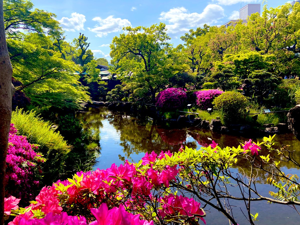 rob_kendrew's tweet photo. Today with work I was at Taiko-en #Osaka #Japan. For over 60 years many have enjoyed its restaurants &amp; wonderful garden. In June it will close, having been sold to Buddhist cult,Soka Gakkai. 

大阪の太閤園の庭園。最近カルト宗教の創価学会に買われた。

＃仏教 ＃創価学会 #garden https://t.co/7HaCV5bkXd