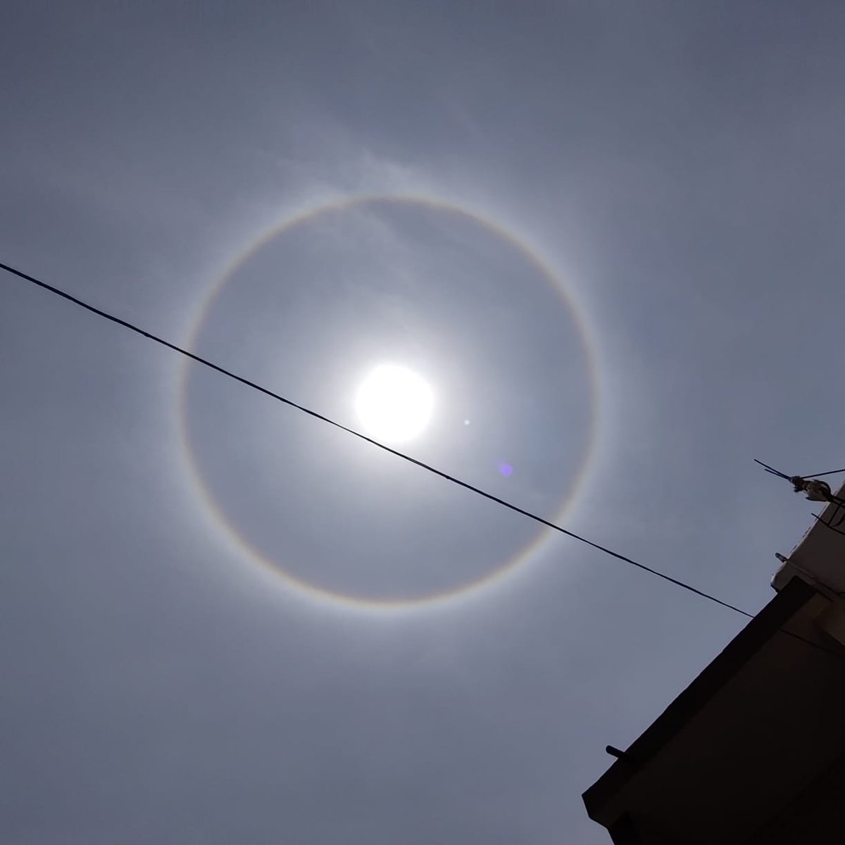 IGAPandey's tweet photo. The #Halo seems to circumventing the #Sun as #COVID19 has done with our lives. #isolationtimes Do check out sun today. 🌞 @dpandey26 @tweetmittal @AmanAm345 @nancysahay89 @spandey2304 @ikumarharsh @timesofindia https://t.co/Lyxuf1IcYG