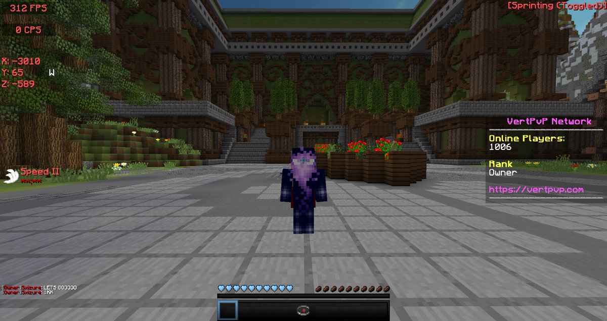 VertPvP 🎄🎅 tweet media