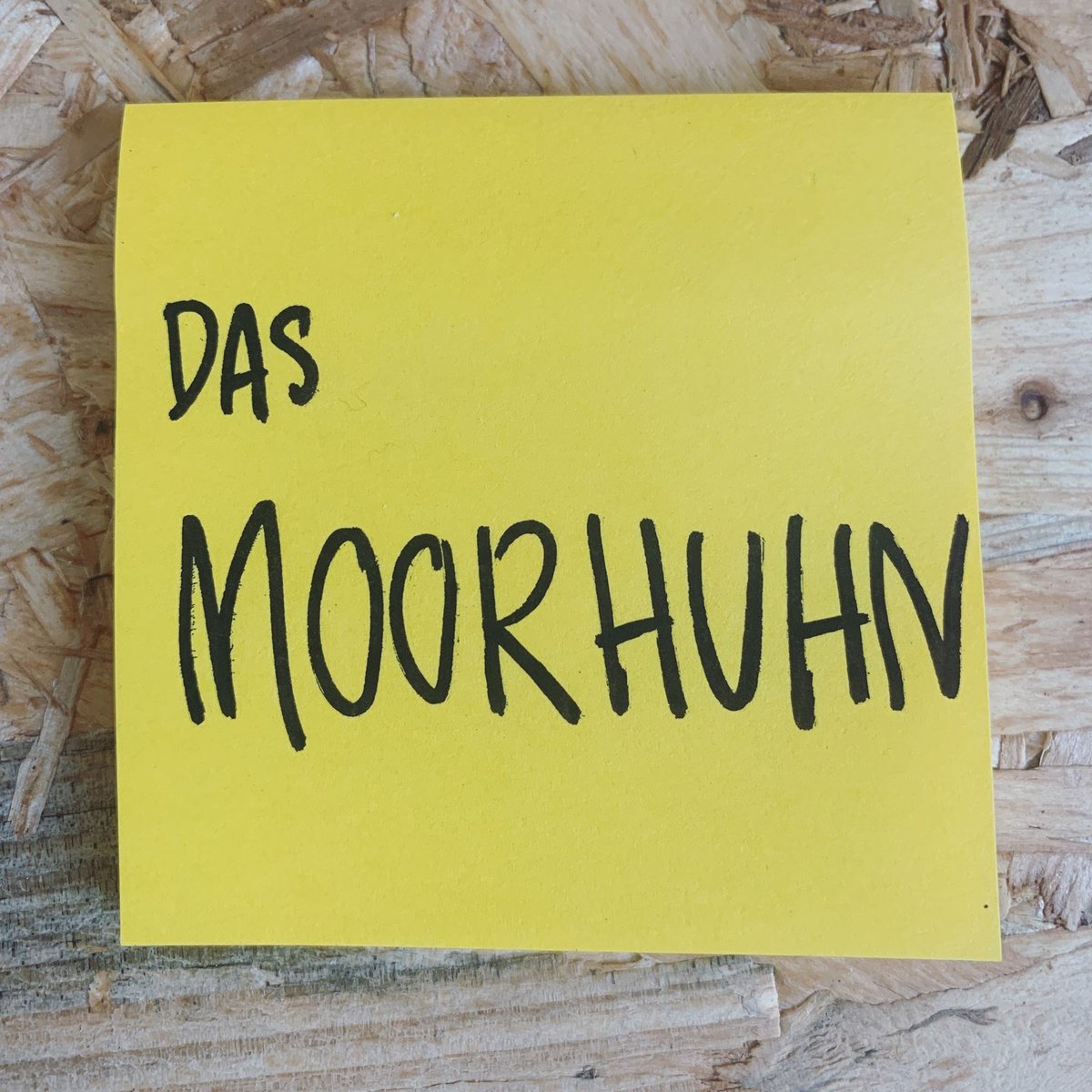 tierderwoche's tweet photo. Das Moorhuhn
#tierderwoche #postitart #postit #stickyart #illustration #postitwar #düsseldorf #kunstindüsseldorf #arbeitenbeisipgate #homeoffice #zuhause #zuhausebleiben #stayathome #moorhuhn #moorschneehuhn #willowptarmigan https://t.co/Ls67lWgiTm