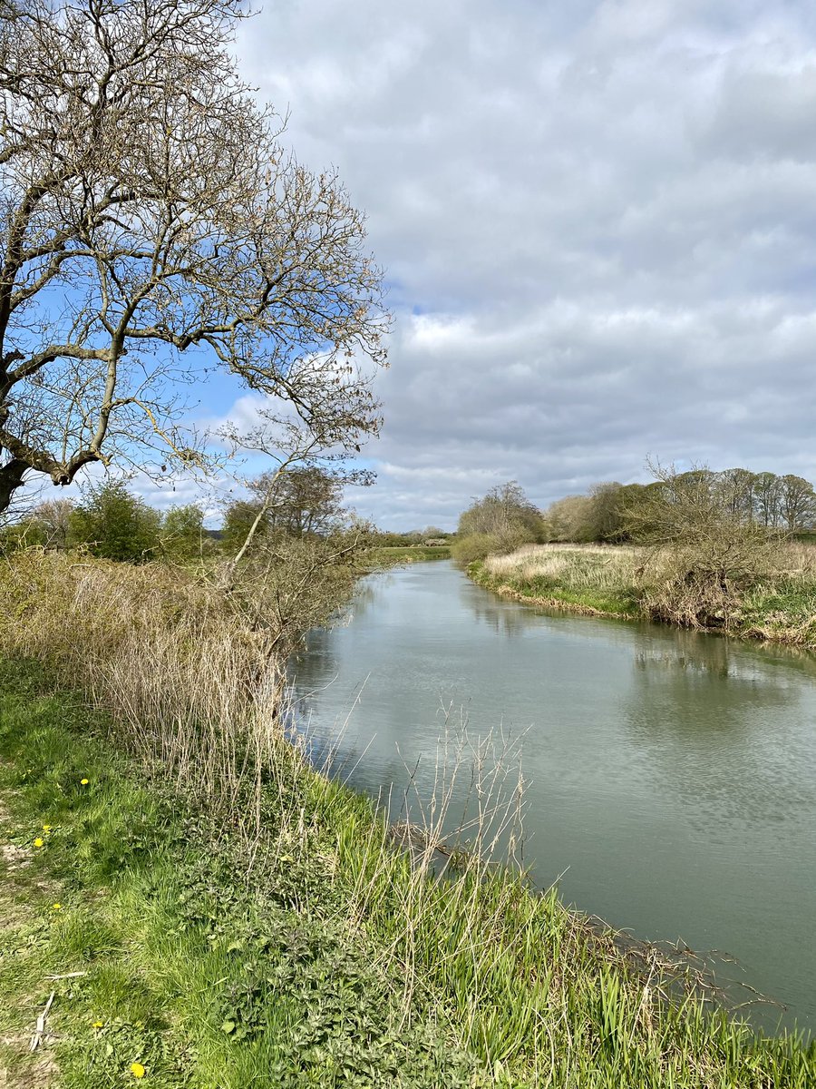feel_paul's tweet photo. #itsgrimupnorth #springtime #sunset #exercise #stroll #photo #distraction #rural #lifestyle #riverderwent #naturalworld & #countryside #makeithappen #keepitcountry #awayfromthemaddingcrowd #Bridlington #godsowncounty #highcatton @sbib_bloom @East_Riding @Welcome2Yorks #Yorkshire https://t.co/zzVu6P8Xvt