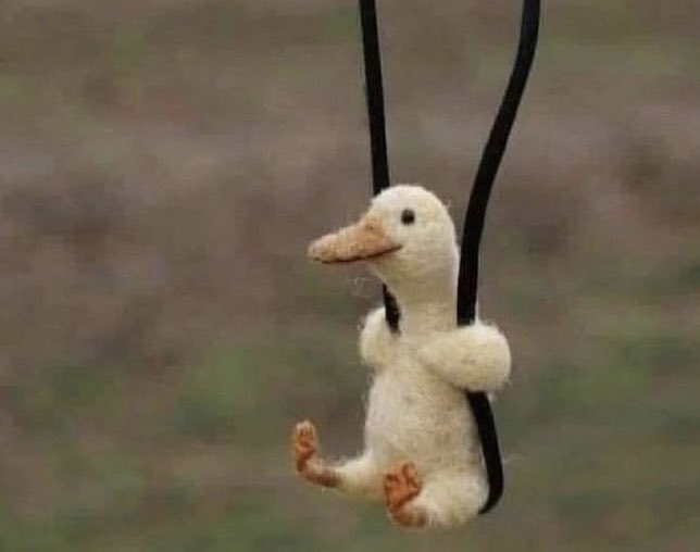 DShadowgazer's tweet image. 95 patients in the ER waiting room, 4 level 1 traumas arriving, patients boarding in the hallway, the entire hospital literally burning 

The emergency docs: