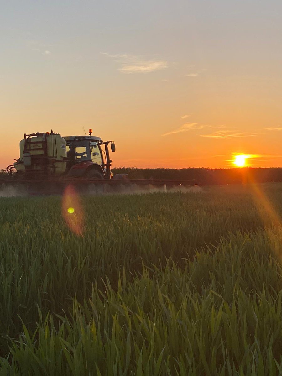 Making the most of last nights sun ☀️ Spraying growth regulator on Hybrid  rye 🌾🌾