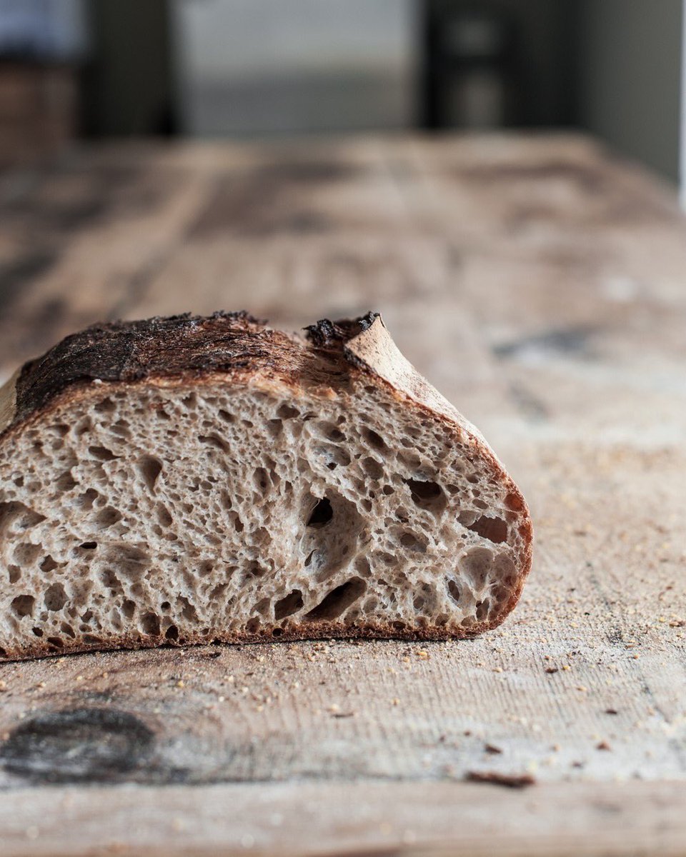 SourdoughClub's tweet image. DO YOU USE SPELT IN YOUR BAKING? - an ancient grain, with great flavour
Spelt is an ancient grain with a lovely, slightly nutty flavour. Along with high levels of vitamins and minerals, dietary fibre and protein.
#makebread #makerealbread #learntobakebread