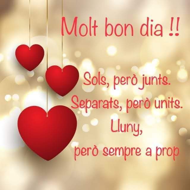 Sí sí.. però és dilluns...BON DIA! 🥰❤️❤️❤️