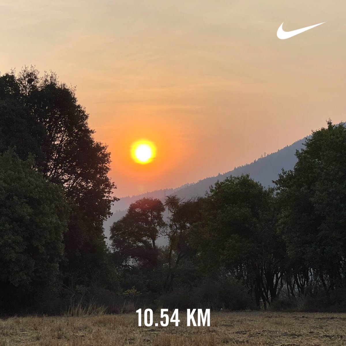 Susy Flores tweet media