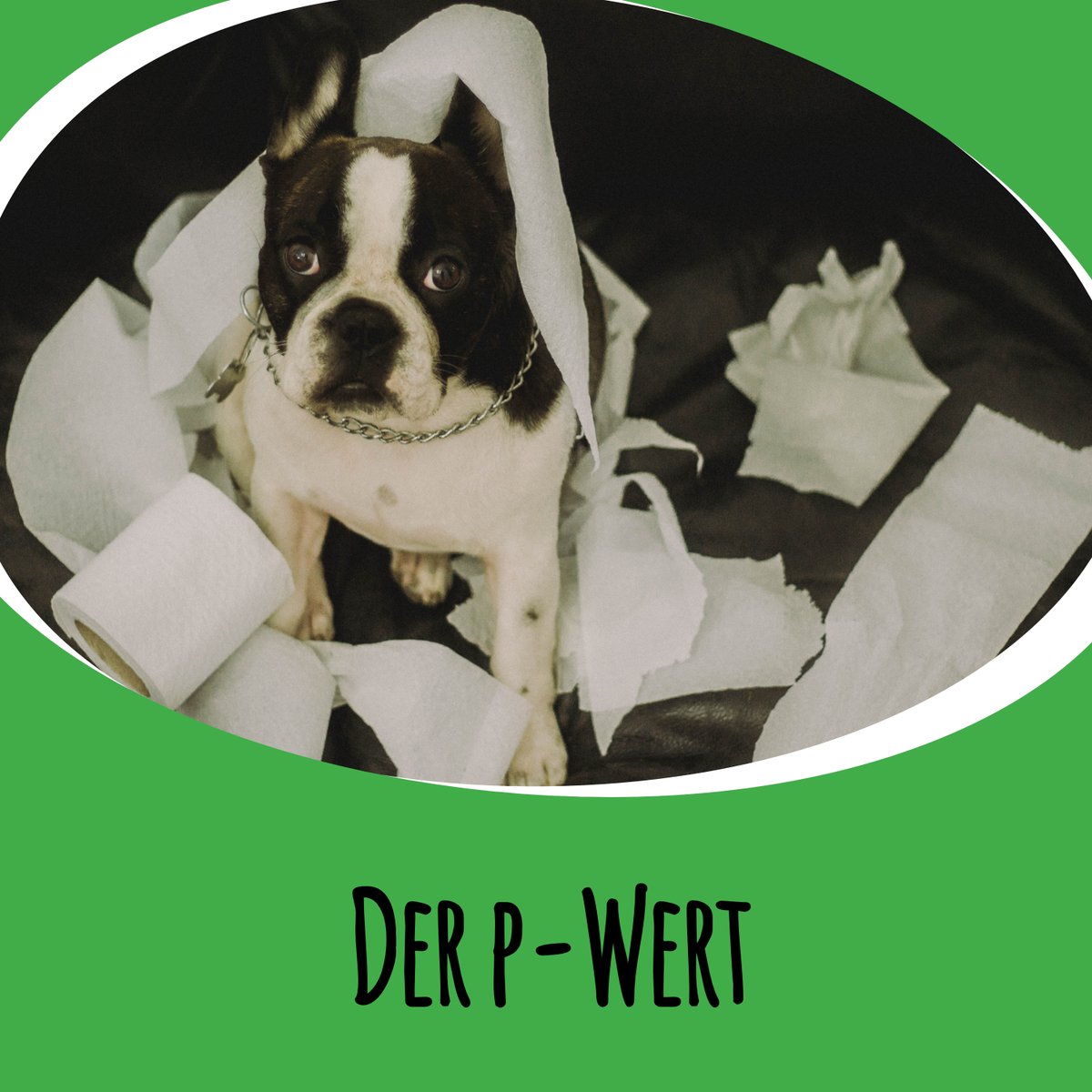 Ihr findet etwas heraus und möchtest wissen: Ist das eigentlich signifikant? Um das mathematisch zu beschreiben, hilft der p-Wert. Und um den geht's in der heutigen Nussschale Episode!

nussschale-podcast.de/p-wert/