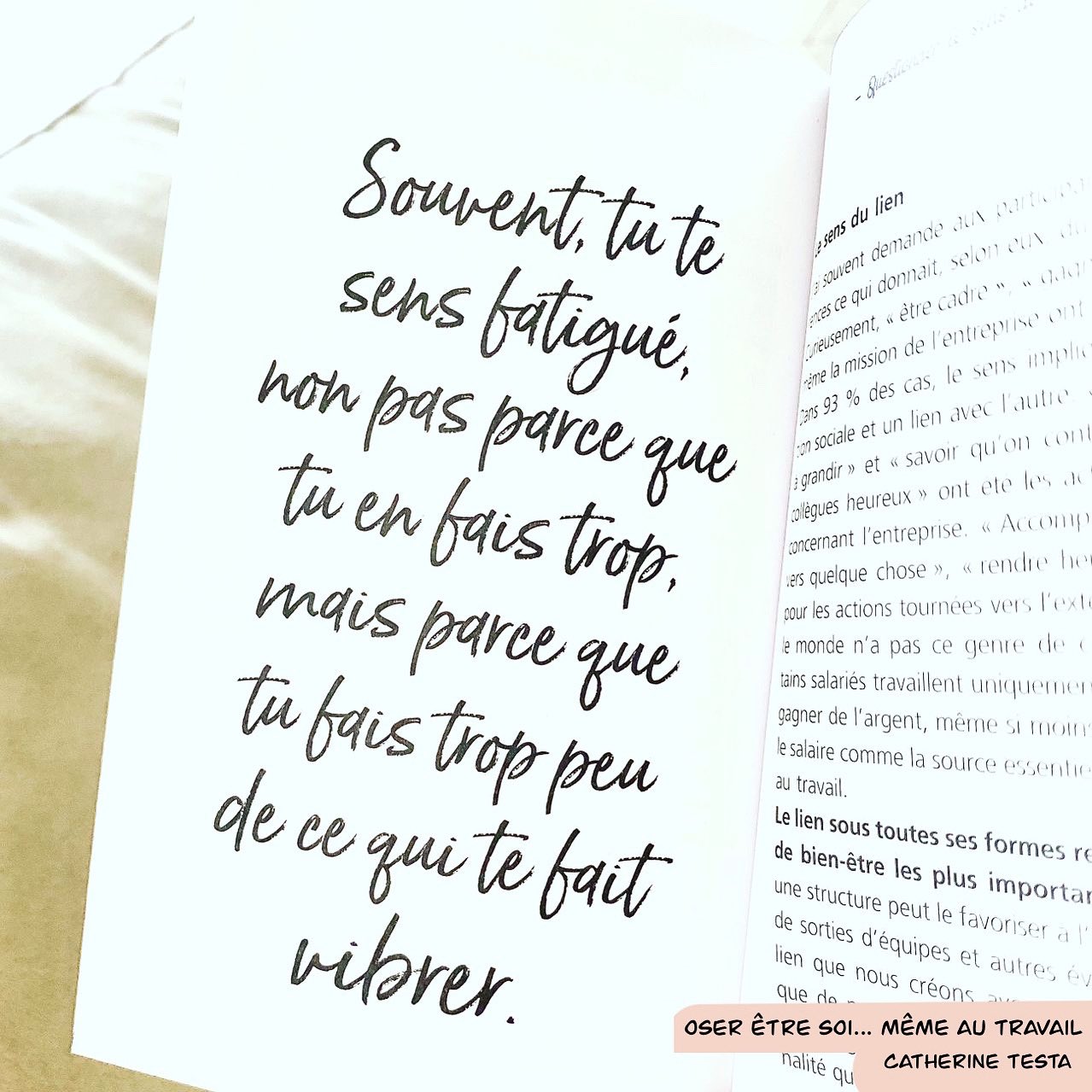 Tweets With Replies By Catherine Testa Cath Testa Twitter