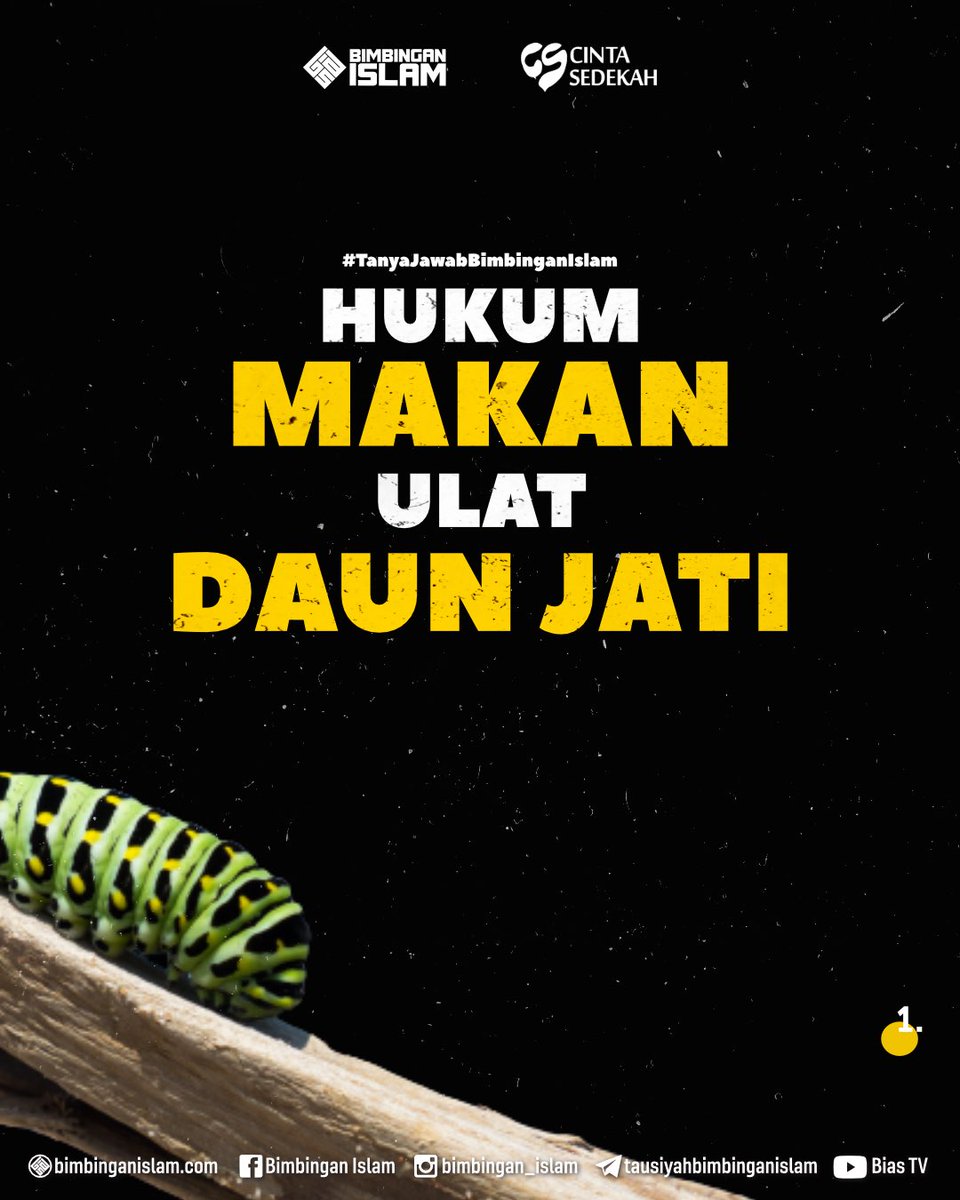 bimbingan_islam's tweet photo. Bolehkah makan ulat daun jati? Read more ππ» https://t.co/bl6GaHLXCF
#tanyajawab #konsultasisyariah #hukum #fiqih #makan #ulat #ulatdaun #entung #kepompong #larangan #memakan #makanan #hewan #haram #dakwah #islam #tanyajawabislam #BiASQA #tanyajawabbimbinganislam #bimbinganislam https://t.co/g3VF0dUEEi