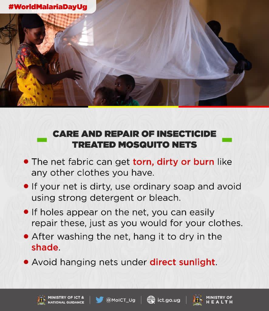 Some of the safest ways to maintain mosquito nets which curbs the rate of spreading of the disease 🦠 @MoICT_Ug @MinofHealthUG #worldMalariaDayUG