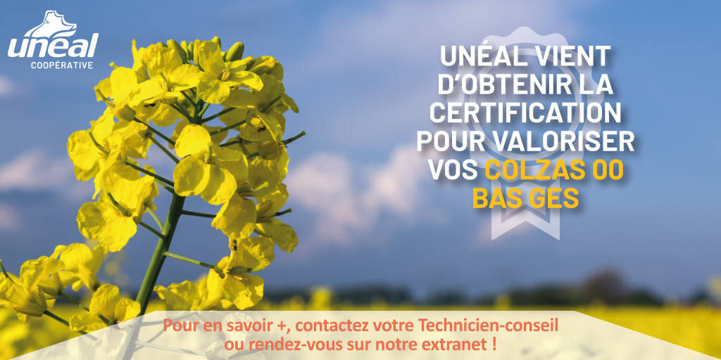 🎖️ Unéal vient d’obtenir la certification pour valoriser vos colzas 00 Bas GES
👉 Pour la récolte 2021, vos pratiques agronomiques permettant de stocker du carbone sur votre exploitation pourront être primées !
ℹ️ Pour en savoir plus, cliquez-ici bit.ly/3tWp0ej